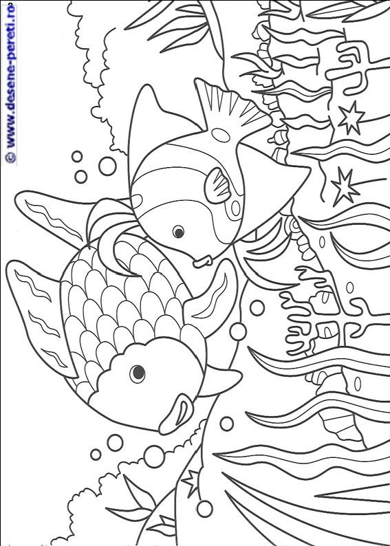 pestele curcubeu desene colorat